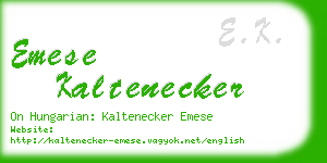 emese kaltenecker business card